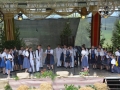 1-sfs (28)